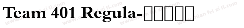 Team 401 Regula字体转换